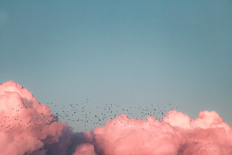 Understanding Forgiveness