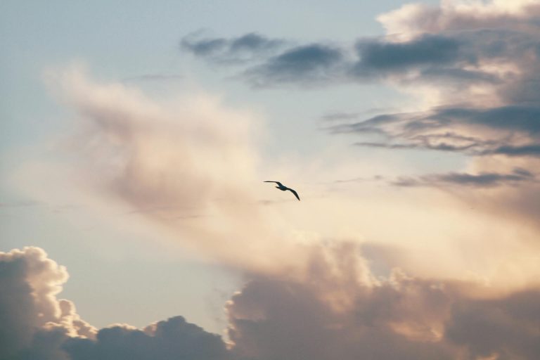 The Power of Letting Go